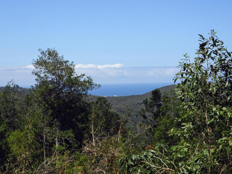 0 Bedroom Property for Sale in Hoekwil Western Cape